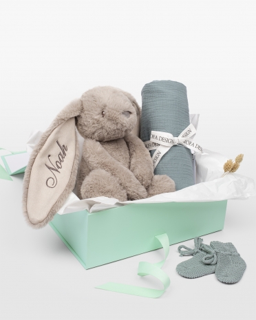 set med gosedjurskanin med namn, filt i muslintyg och stickade tossor till den nyfödda