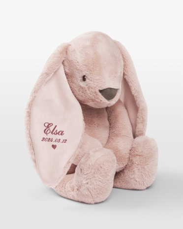 Stor gosekanin med rosa brodyr av namn och födelsedatum.