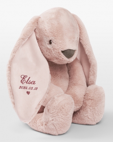 Stor gosekanin med rosa brodyr av namn och födelsedatum.