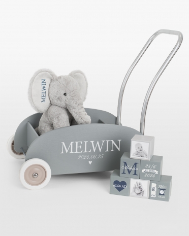 presentset med lära gå vagn, gosedjur och leksaksklossar med namn