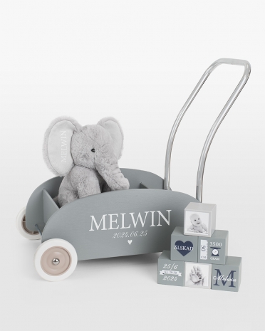 presentset med lära gå vagn, gosedjur och leksaksklossar med namn