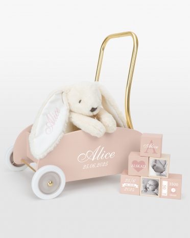 Gosedjur, lära gå vagn & träklossar med namn, rosa