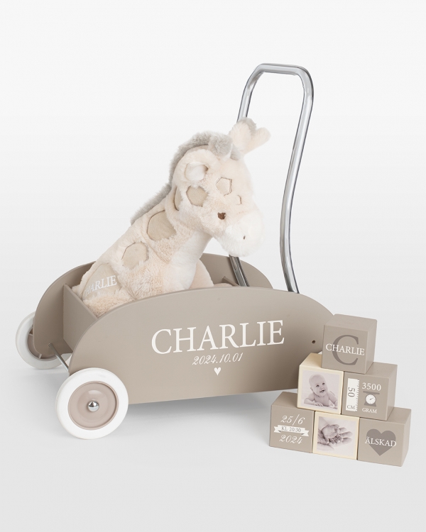 presentset med lära gå vagn, gosedjur och leksaksklossar med namn