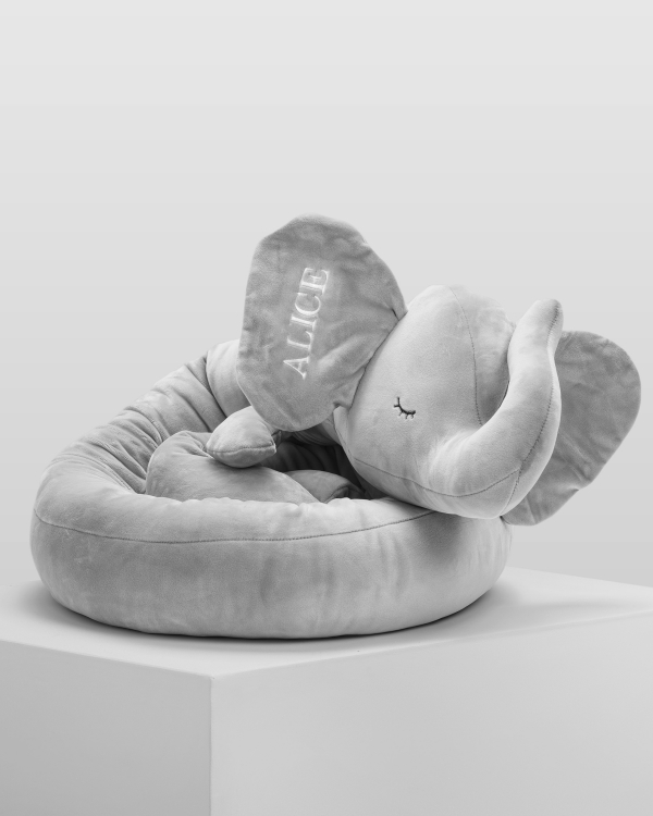 Sovorm - Circus elephant